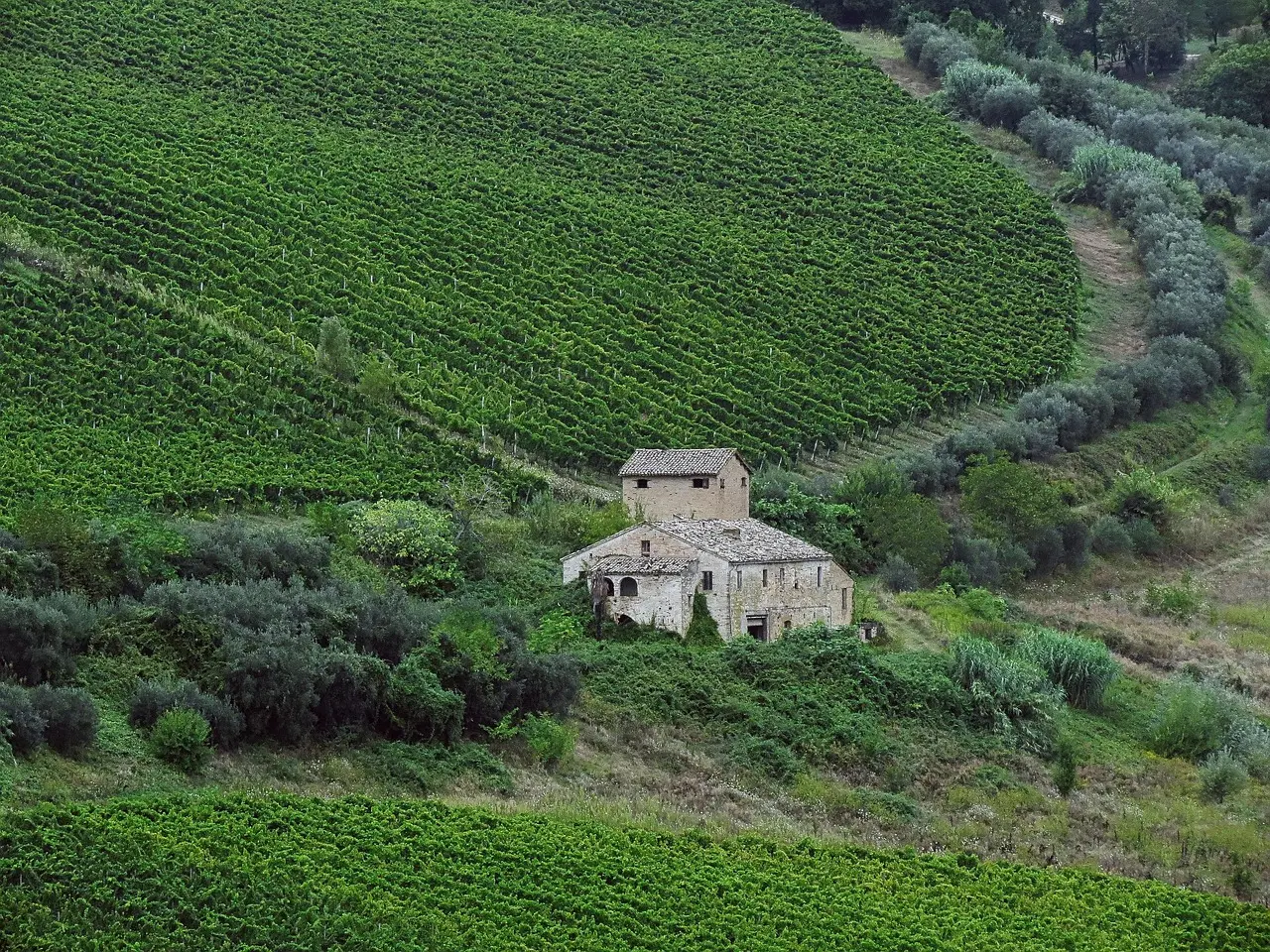 Bild einer verwalteten Ferienwohnung in Dormagen